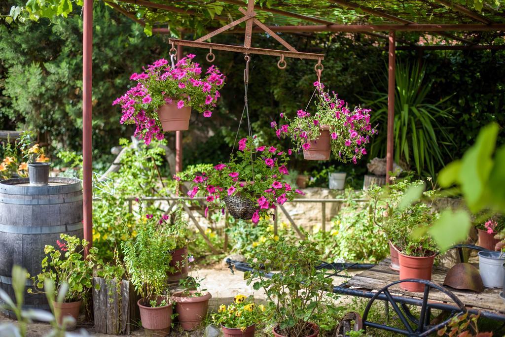 Guesthouse Alexandros Nestorion Bagian luar foto